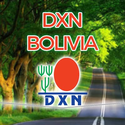 dxn bolivia