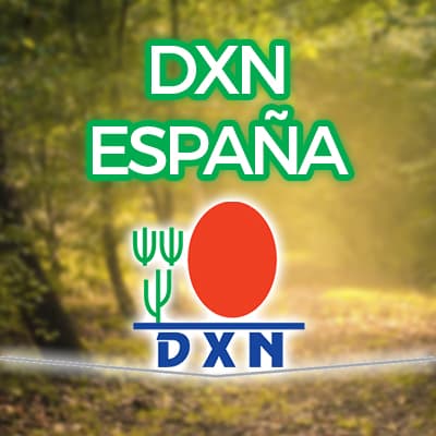 dxn españa