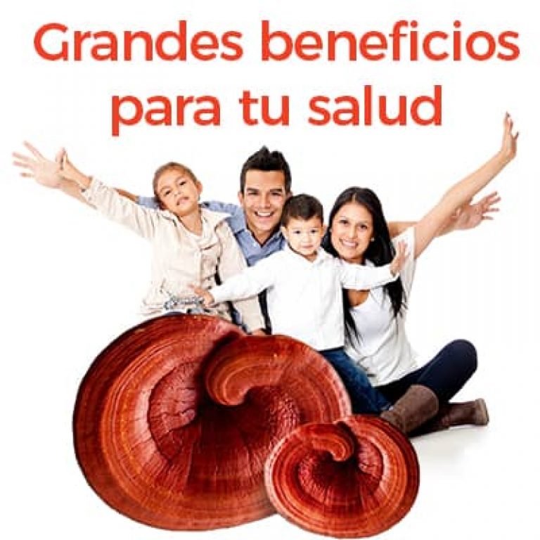 Ganoderma Dxn Beneficios Que Es Para Que Sirve Como Funciona 1338