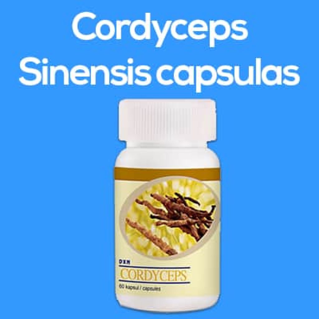 cordyceps sinensis capsulas