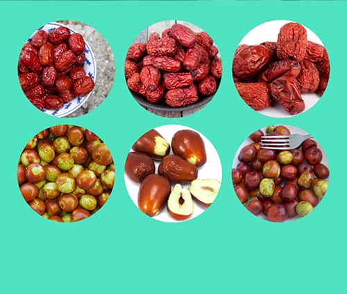 jujube fruits