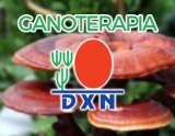 Ganoterapia