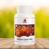 Reishi y sus beneficios