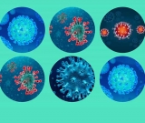 Suplementos para el sistema inmunologico